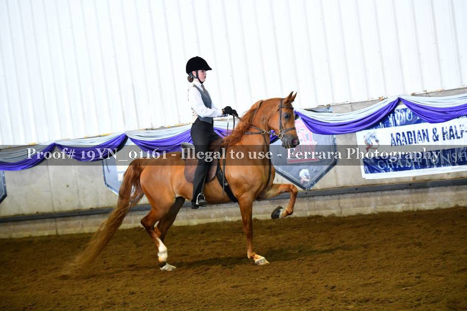 Proof 19YN_01161