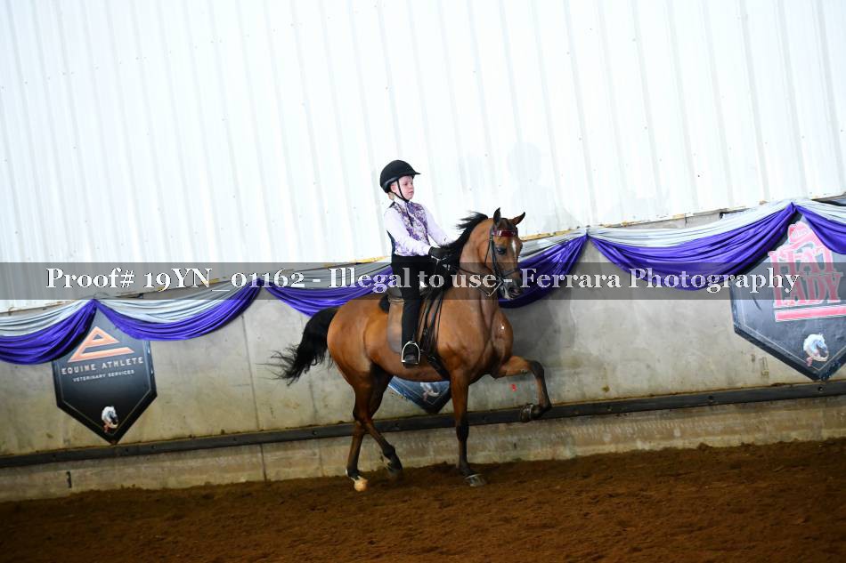 Proof 19YN_01162
