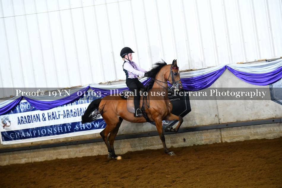 Proof 19YN_01163