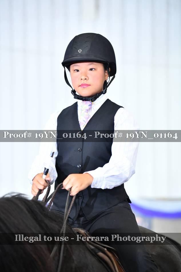 Proof 19YN_01164