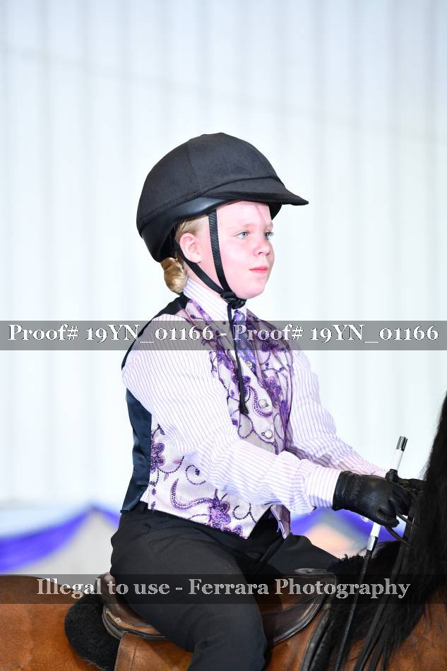 Proof 19YN_01166