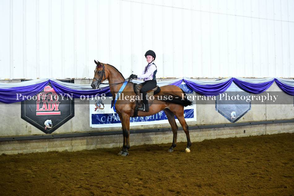 Proof 19YN_01168
