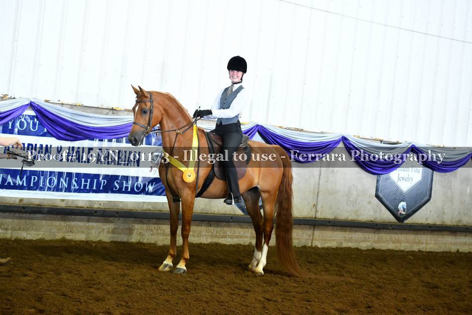 Proof 19YN_01173