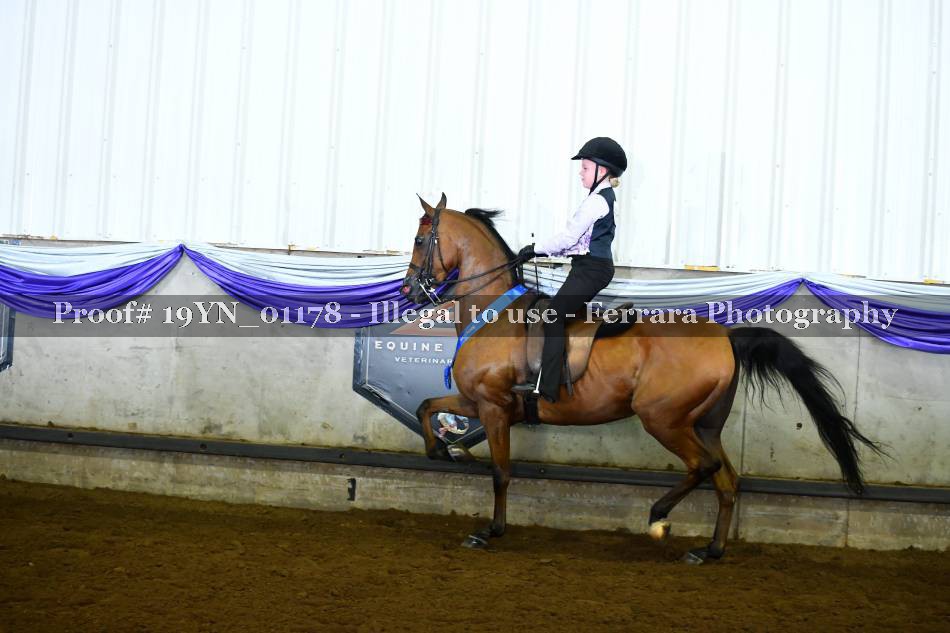 Proof 19YN_01178