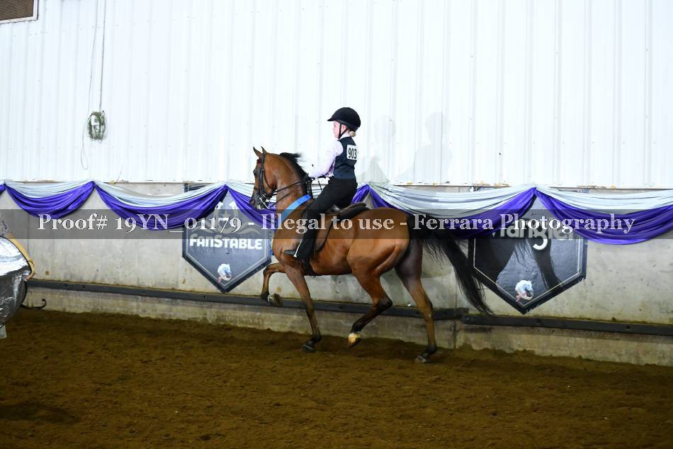 Proof 19YN_01179