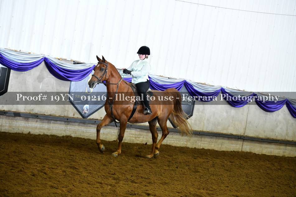 Proof 19YN_01216