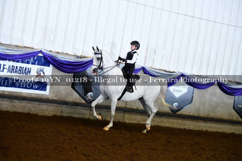 Proof 19YN_01218