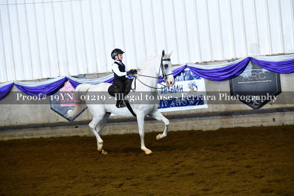 Proof 19YN_01219