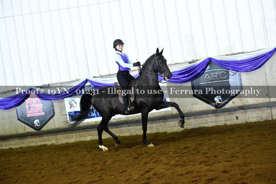 Proof 19YN_01231