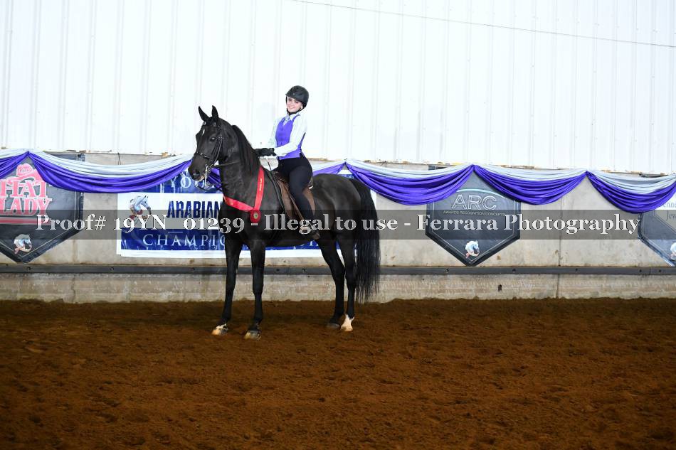 Proof 19YN_01239