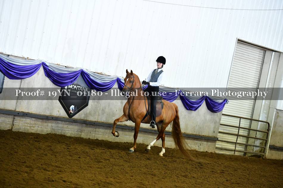Proof 19YN_01180