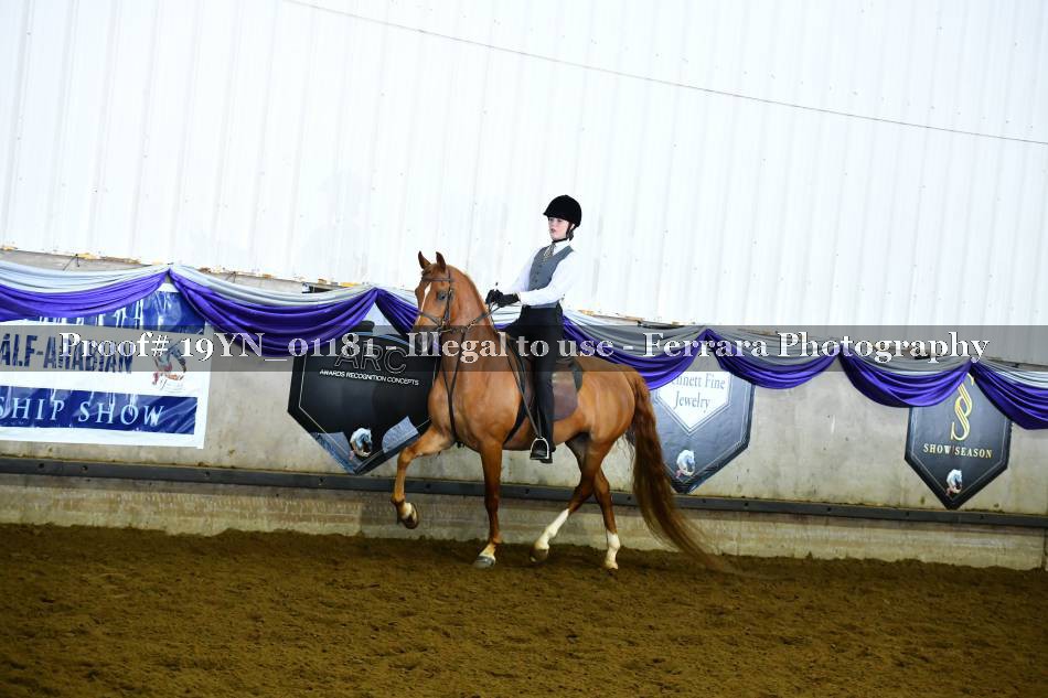 Proof 19YN_01181