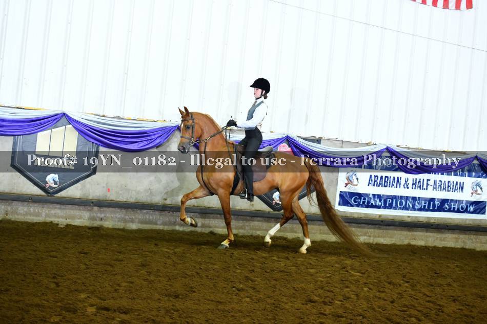 Proof 19YN_01182