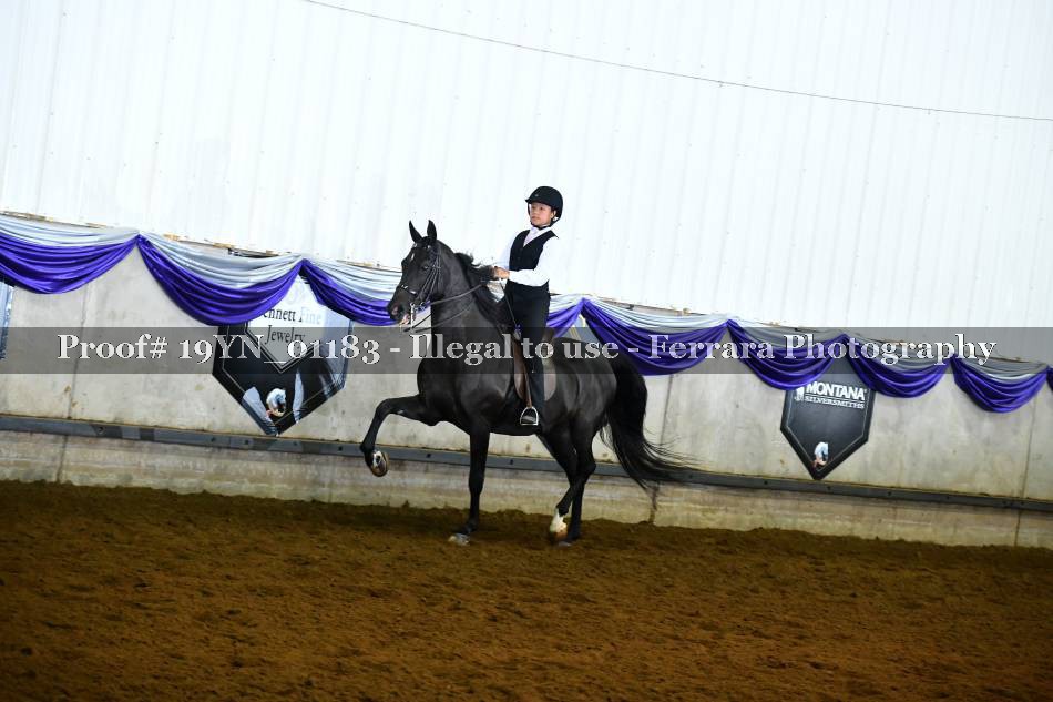 Proof 19YN_01183