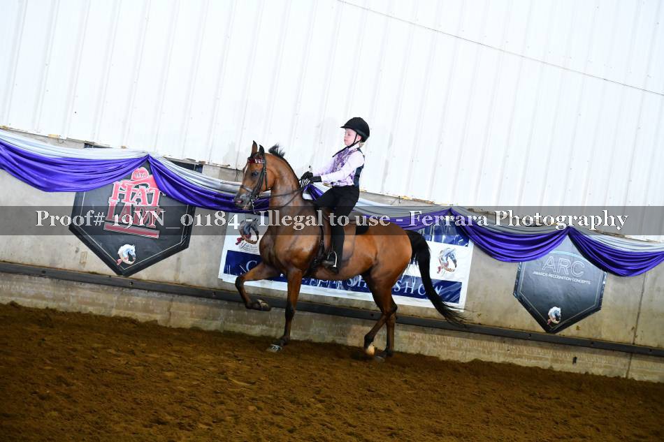 Proof 19YN_01184