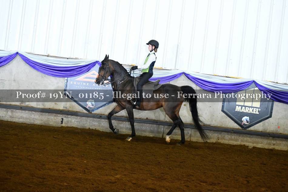 Proof 19YN_01185