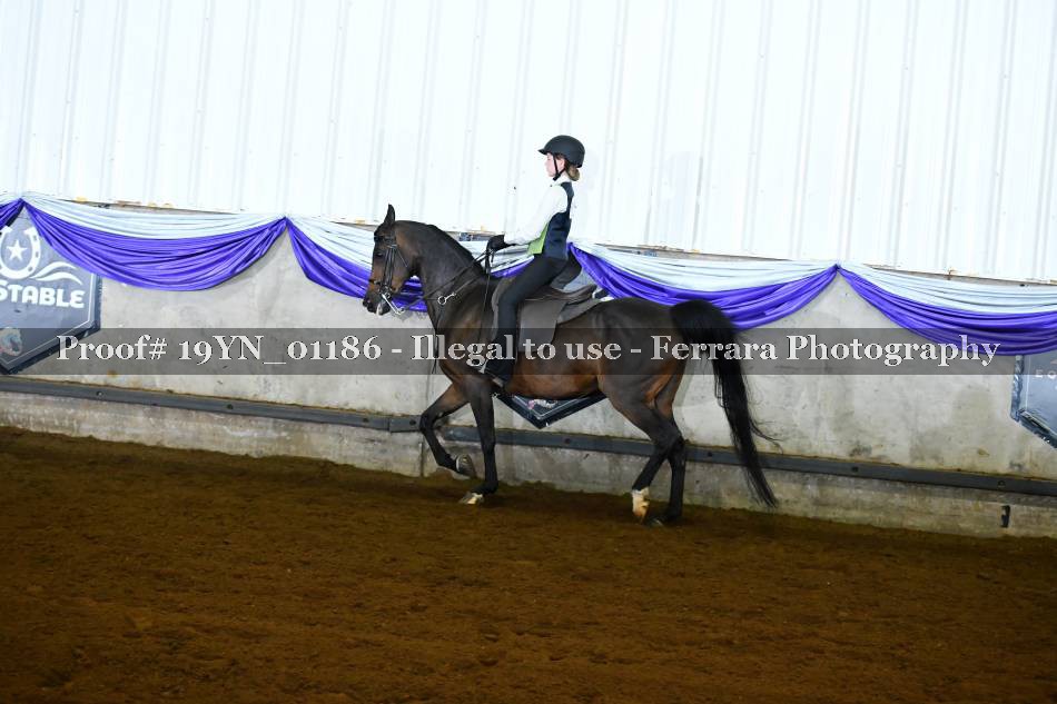 Proof 19YN_01186
