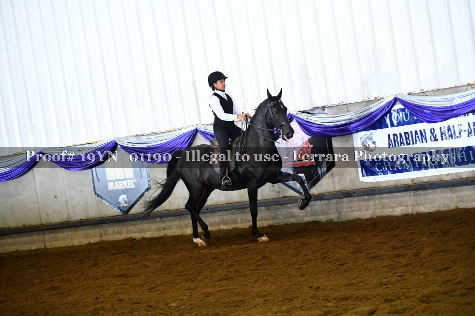 Proof 19YN_01190