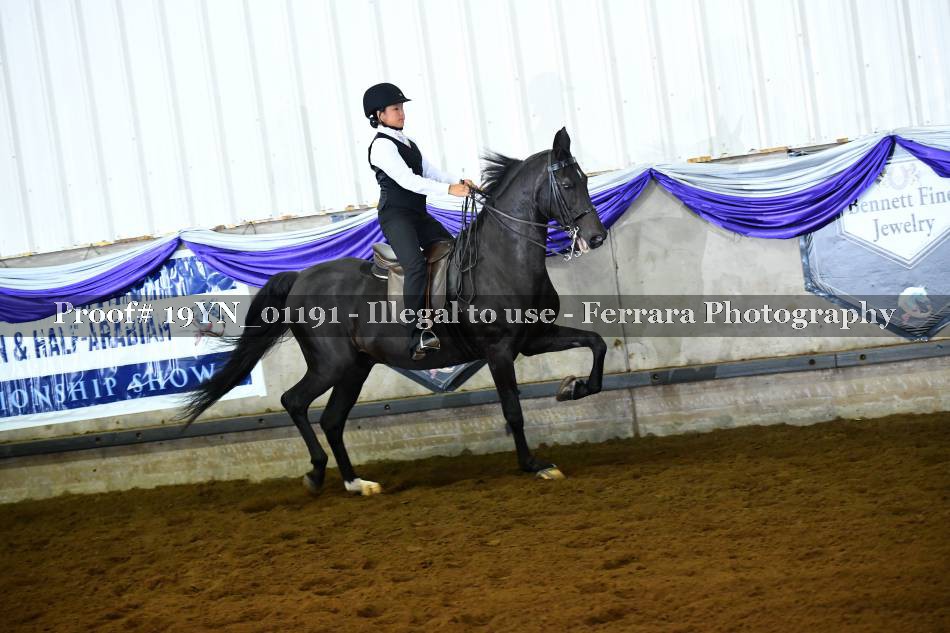 Proof 19YN_01191