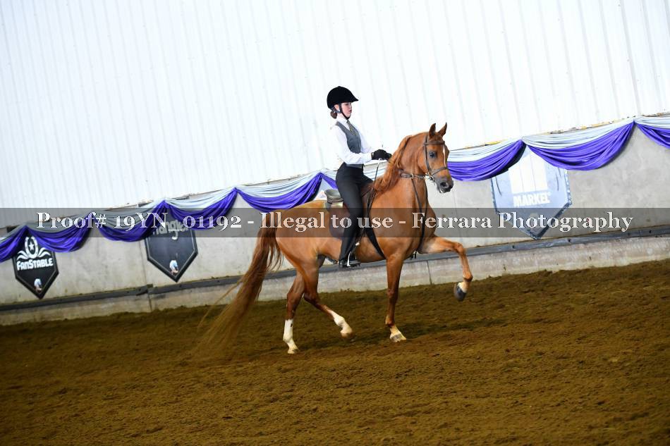 Proof 19YN_01192