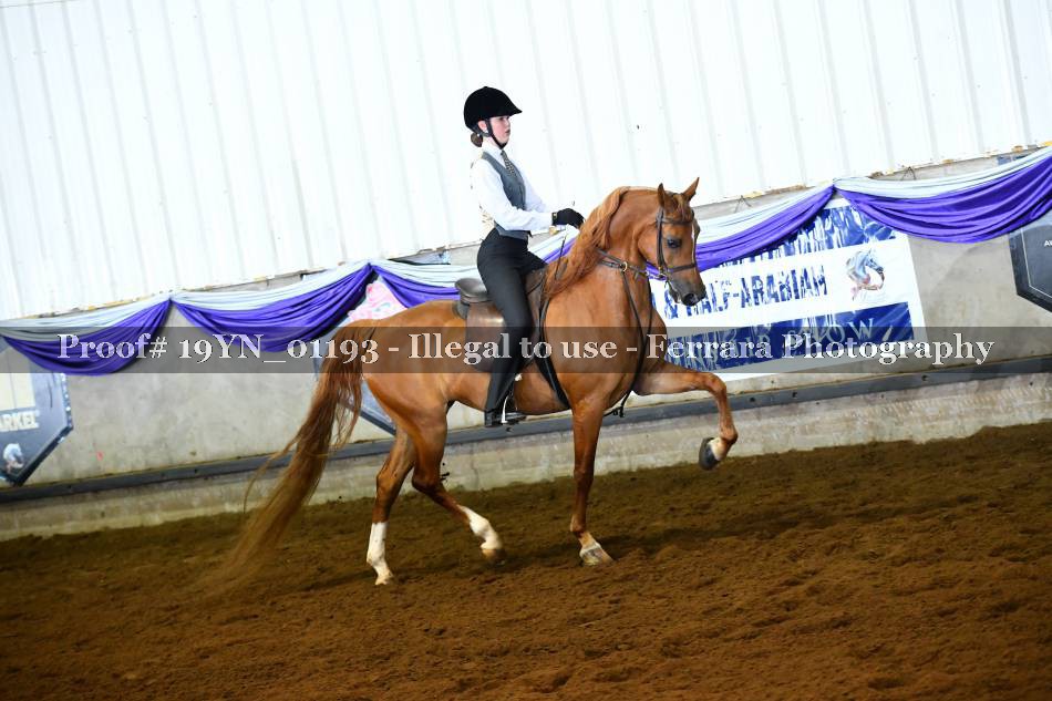 Proof 19YN_01193