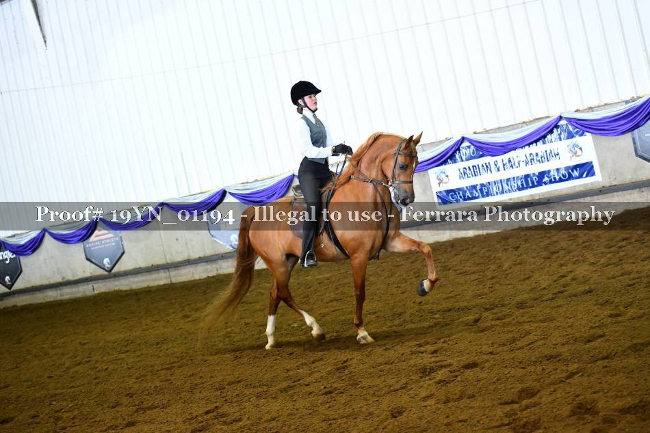 Proof 19YN_01194