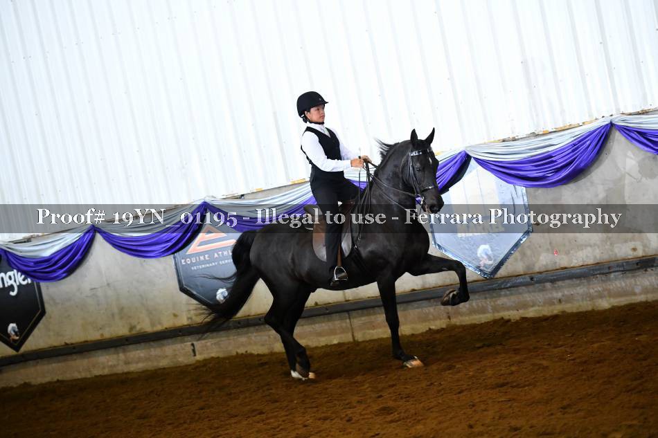 Proof 19YN_01195