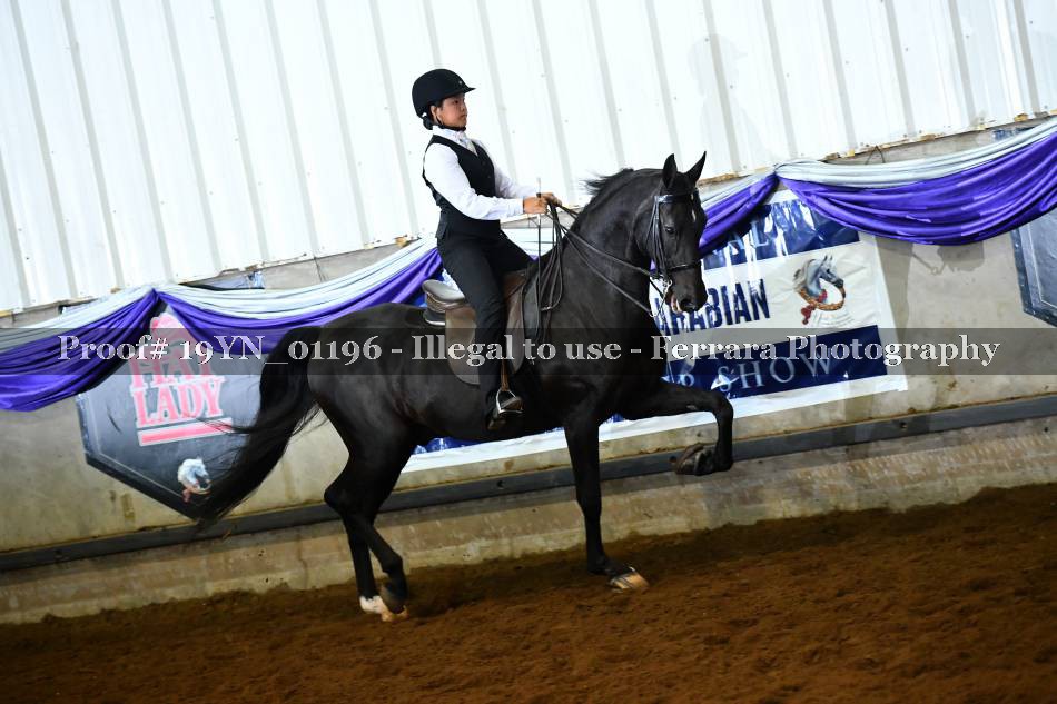 Proof 19YN_01196