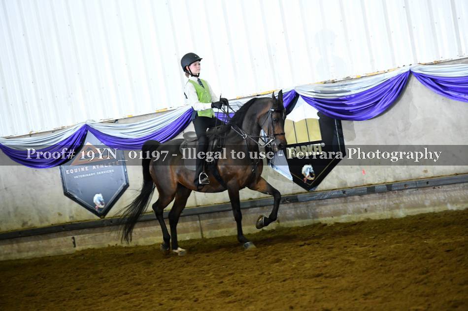 Proof 19YN_01197