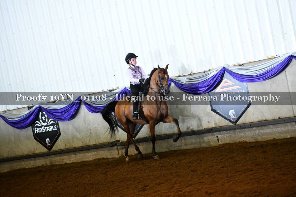 Proof 19YN_01198