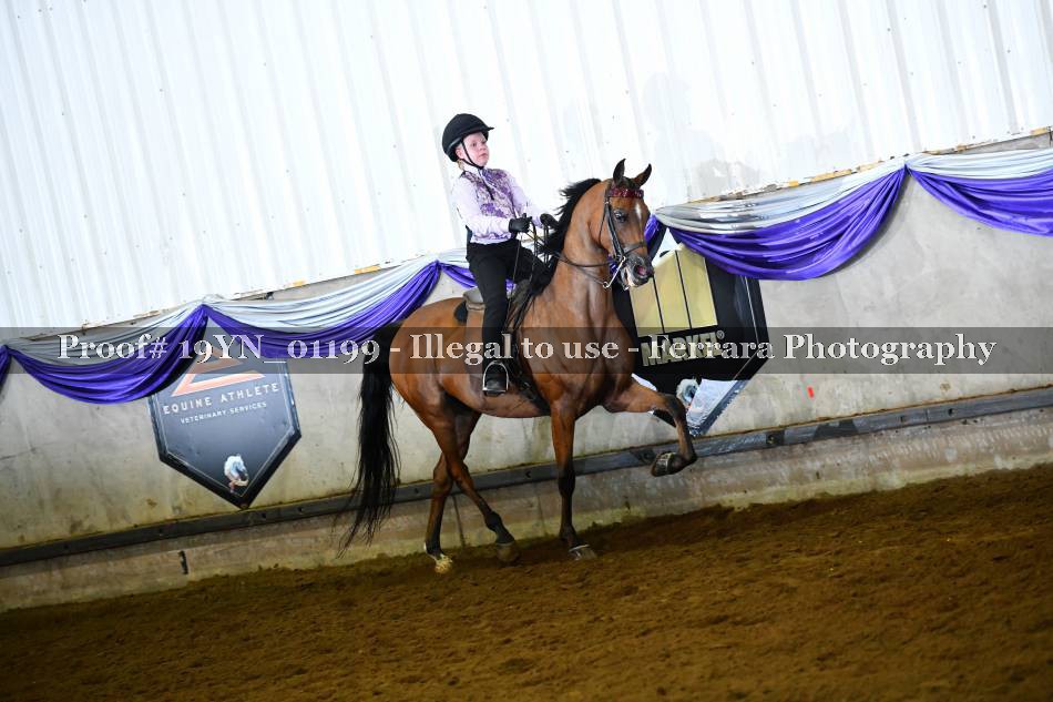 Proof 19YN_01199
