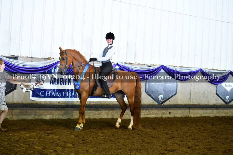 Proof 19YN_01204