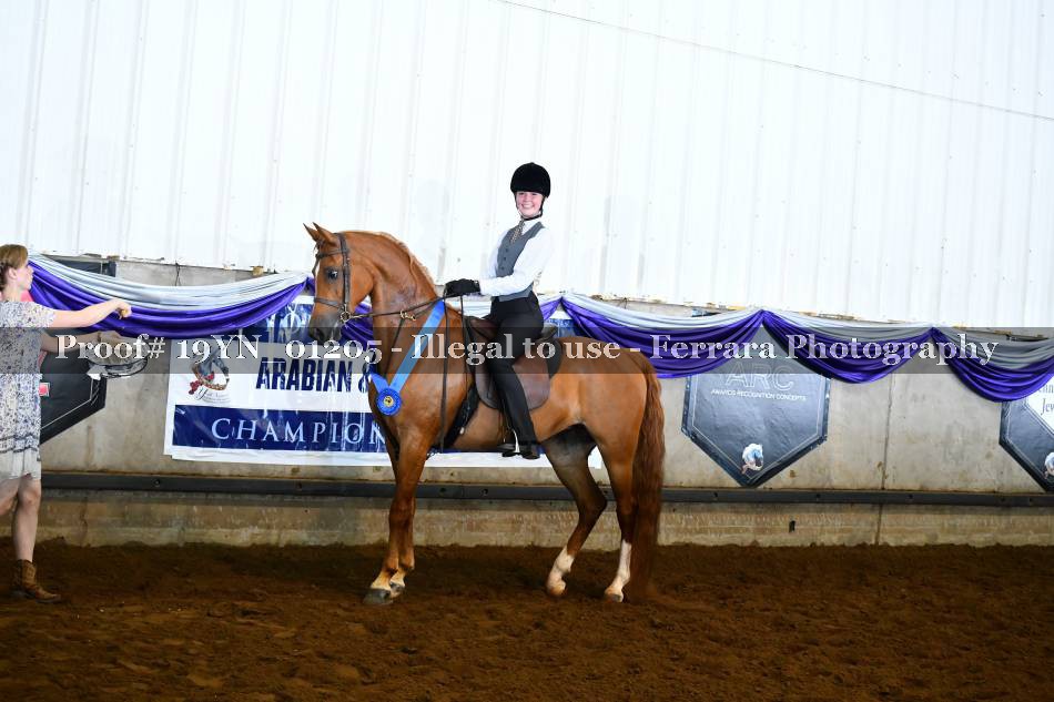 Proof 19YN_01205