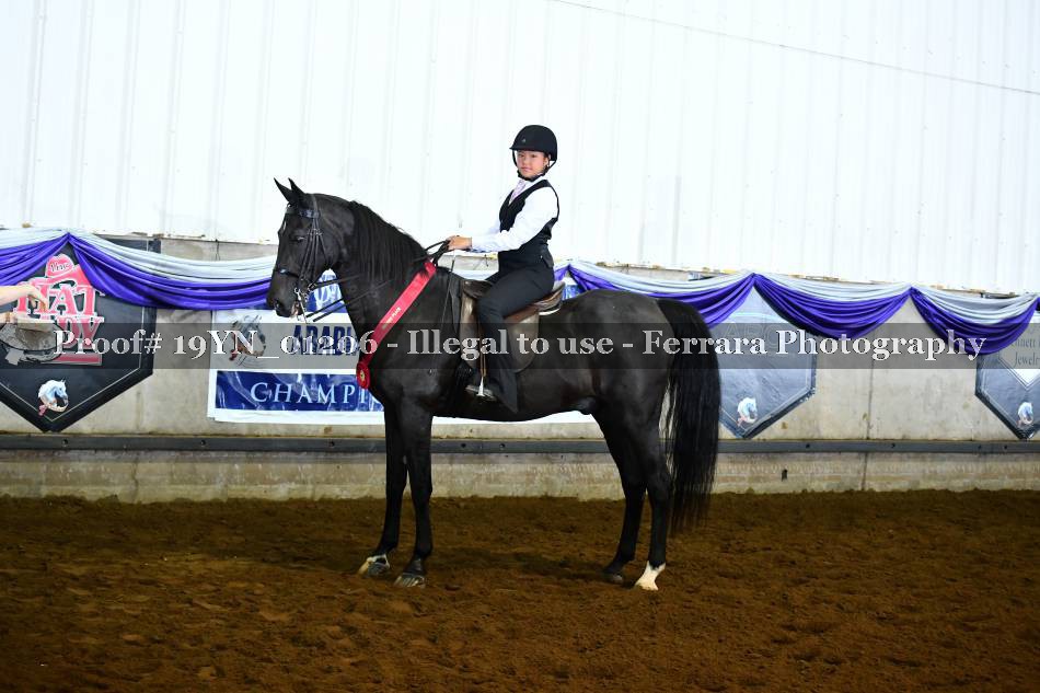Proof 19YN_01206