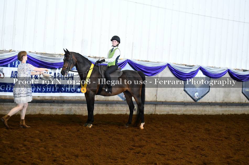 Proof 19YN_01208