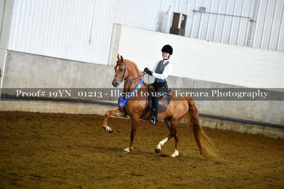 Proof 19YN_01213