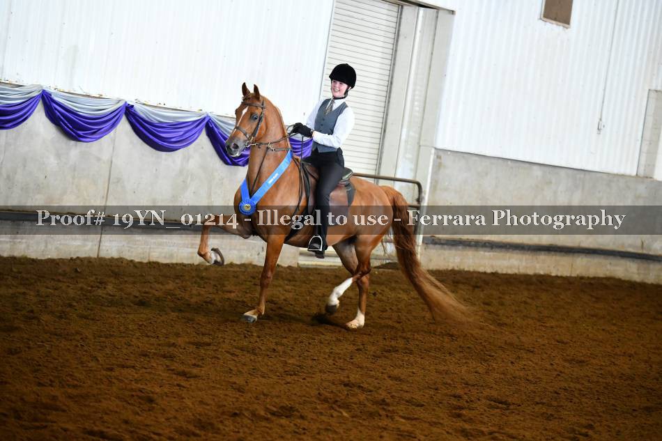 Proof 19YN_01214