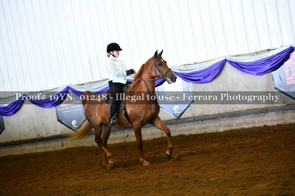 Proof 19YN_01248