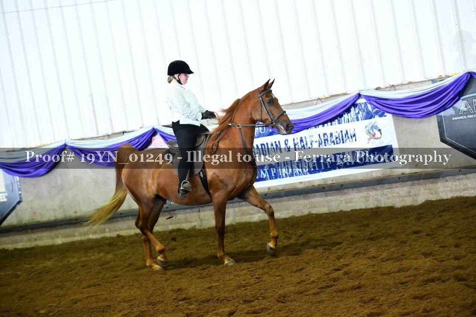 Proof 19YN_01249