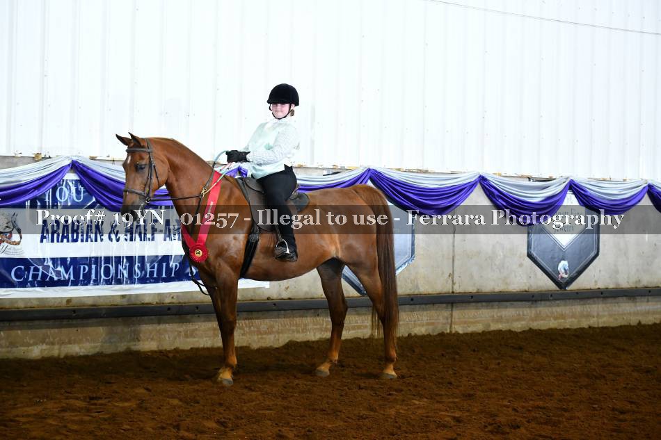 Proof 19YN_01257