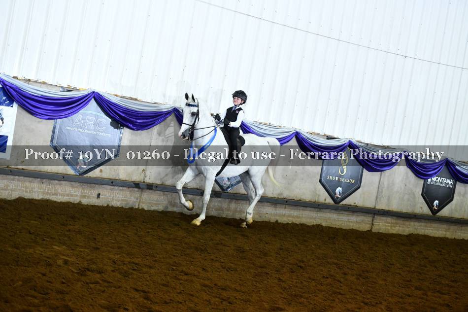 Proof 19YN_01260