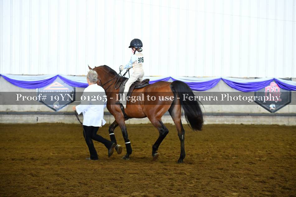 Proof 19YN_01265