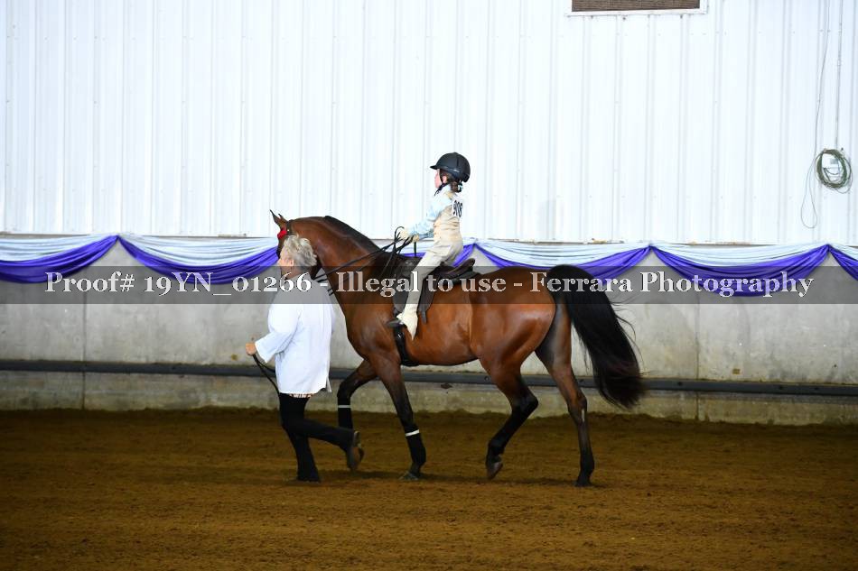 Proof 19YN_01266