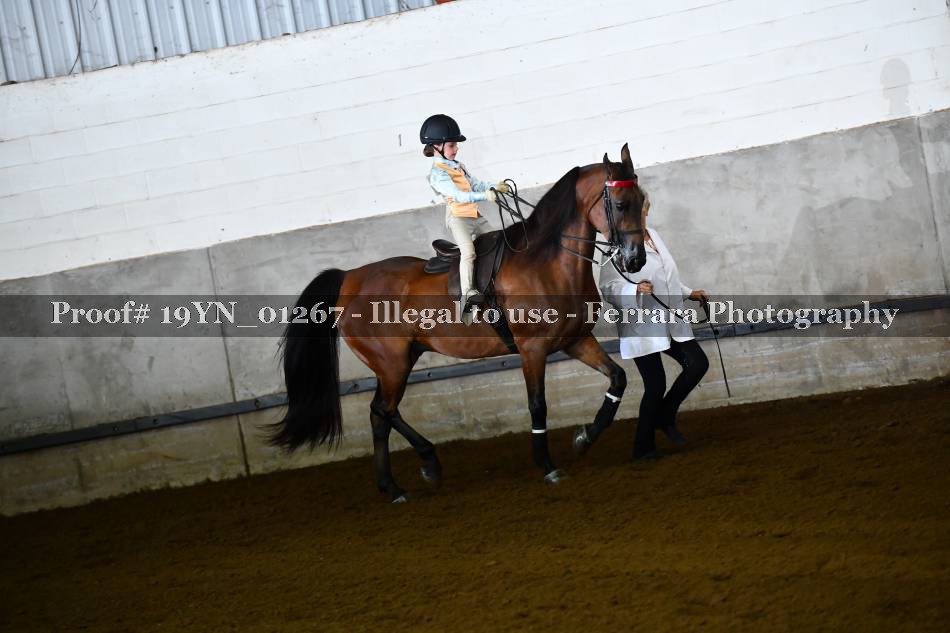Proof 19YN_01267