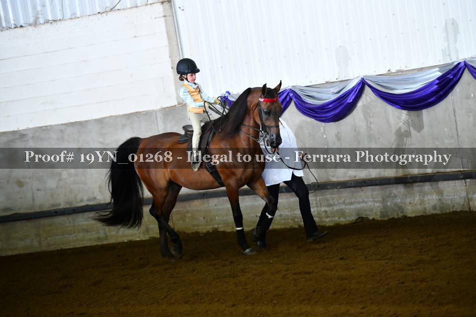Proof 19YN_01268