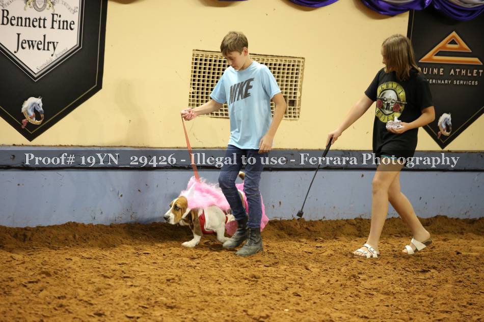 Proof 19YN_29426