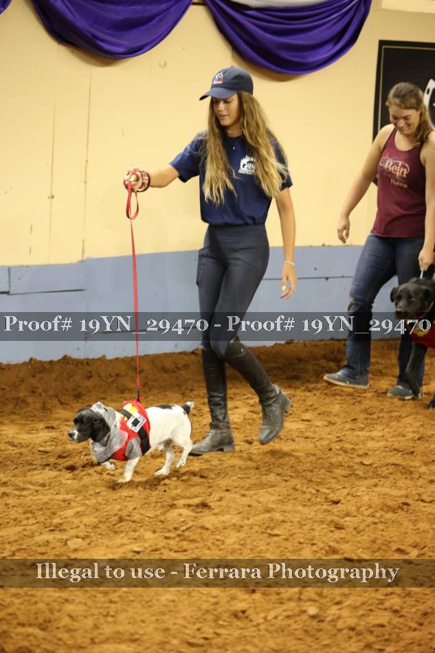 Proof 19YN_29470