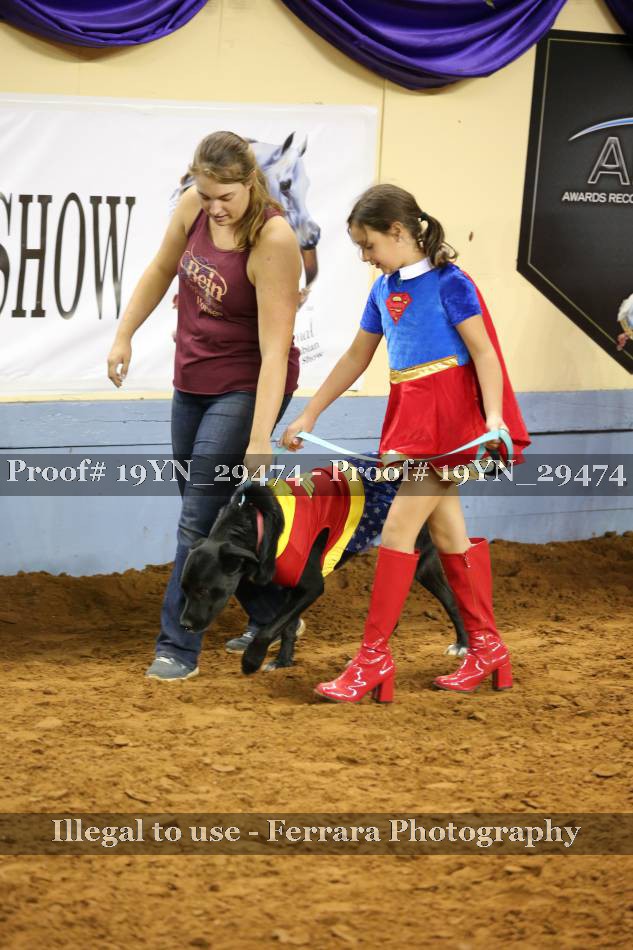 Proof 19YN_29474