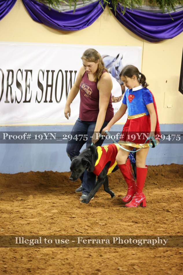 Proof 19YN_29475