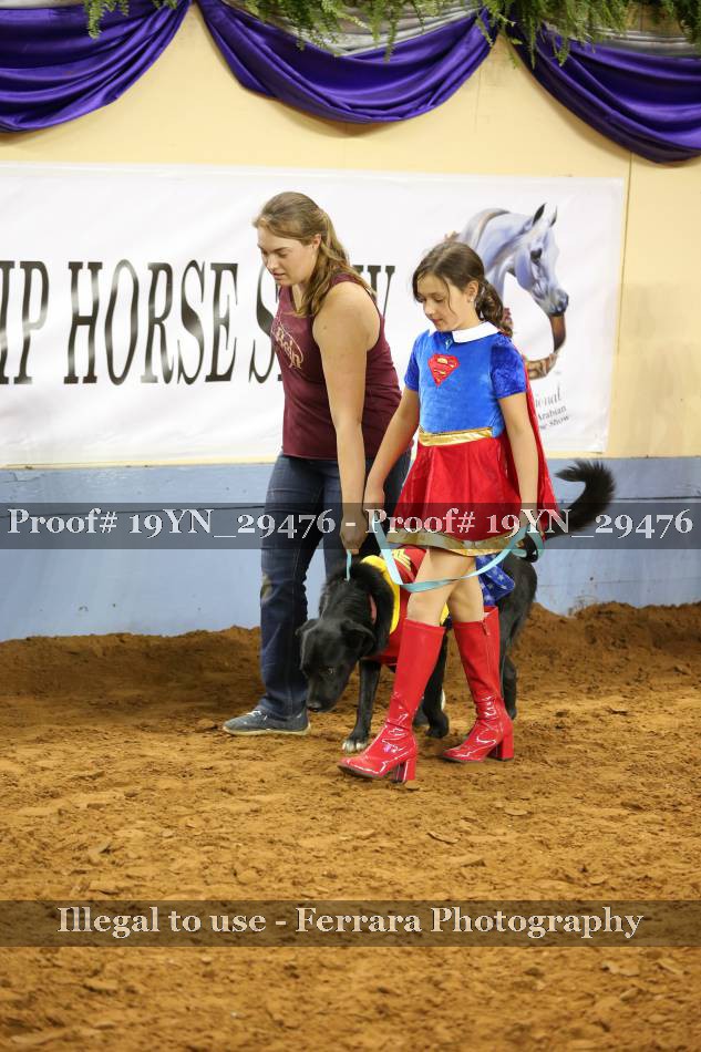 Proof 19YN_29476